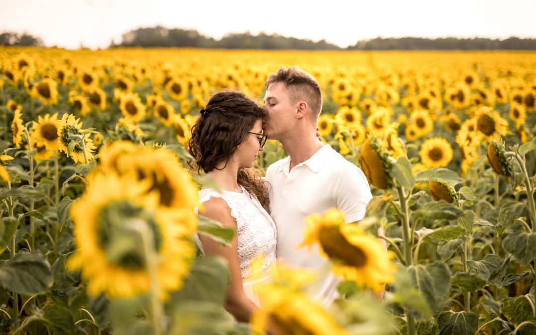 Czeskie słoneczniki – czyli jak o mały włos straciłabym drona