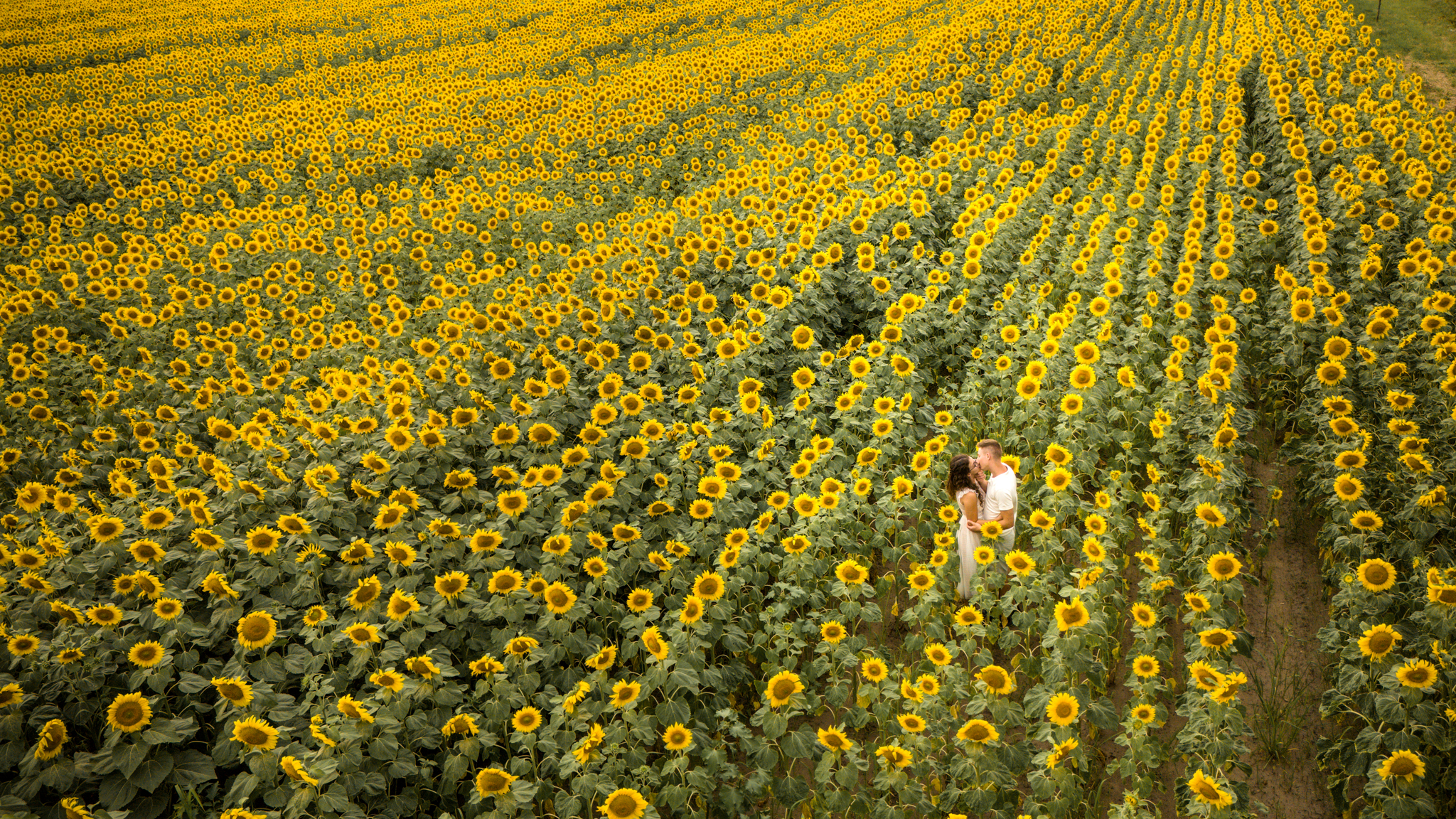 sesja narzeczeńska stawy echo