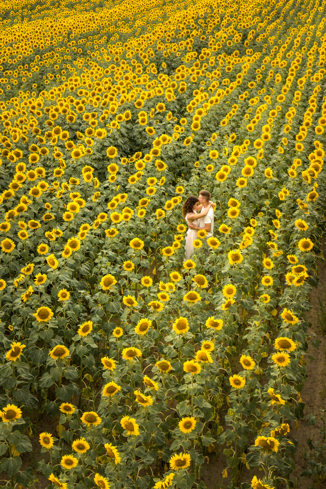 sesja narzeczeńska stawy echo